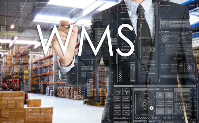 WMS (SISTEMA DE GESTIÓN DE ALMACÉN)